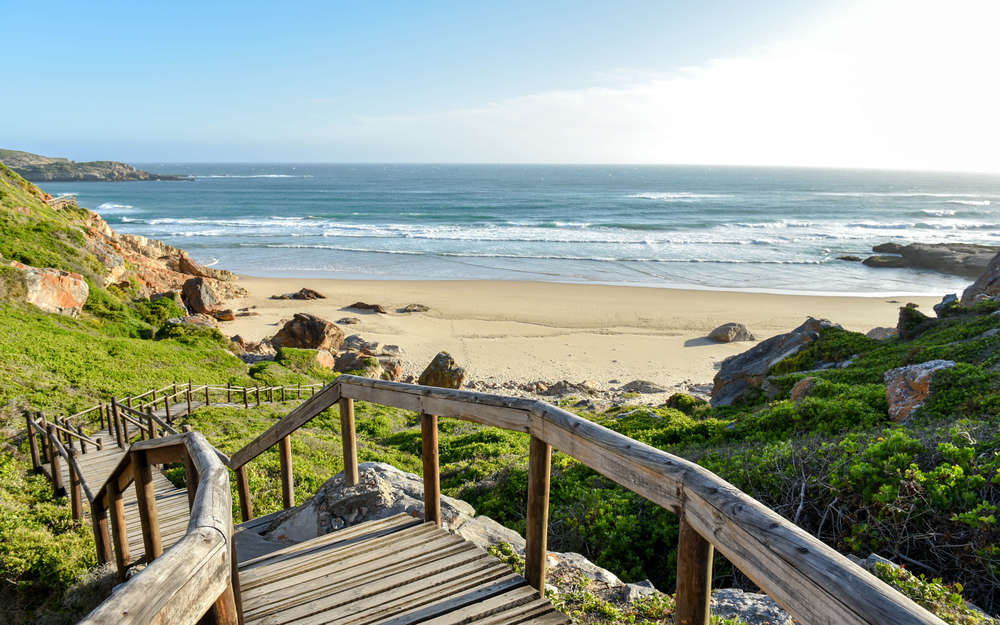 Explore the Beauty of the Garden Route: Private Shuttle Service Road Trips from Cape&nbsp;Town